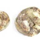 무덤의 흔적 이미지