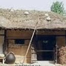 알리와 최백호 콘서트 이미지