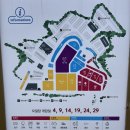 서귀포향토오일장, 제주 전통의 향기와 정겨움을 담다.