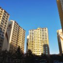 에스공인중개사사무소 이미지