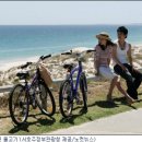 푸른물고기 이미지