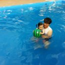 아일랜드코쿤 이미지