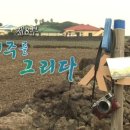 제주를 그리다 이미지