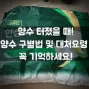 양수 새는 느낌? 소변 냉 완벽 구별법 | 양수 리트머스 검사 리얼 후기 및 양수 터졌을 때 주의사항까지!