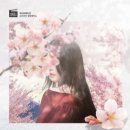 분당-356 | [탈출방] 355-356. 분당 넥스트에디션 분당서현점: 익명의 여자(혼방), 너에게 가는 길(혼방)