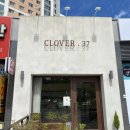 클로버. (clover)37 이미지