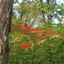 용하공원 화장실 이미지