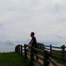 운기목장 Daum카페