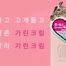 벨라수 네이버블로그