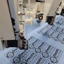 crossfit sejong 이미지