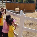 사상근린공원 이미지