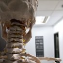 가좌정형외과의원 이미지