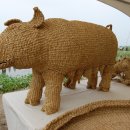 복돼지 - 화성시 | 복돼지