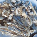 송이농장(1) 이미지