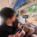 (주)대한자동차 | 푸꾸옥 태교여행 4편 | 빈펄 사파리 22주 임산부 방문 후기(기린 식당·주트램 이용 및 정리)