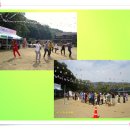 함백중학교 이미지