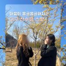 축제광장 및 수변공원 | [대구/달서구] 3월 4월 가볼만한 곳 산수유 데이지 명소 월광수변공원