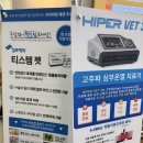 올리브동물병원 | 강아지 마비증상 <일산 올리브동물병원> 찾아가다