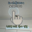 용인 석고벽 찍힘 부분 보수 사례