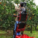 광주전동휠체어 이미지