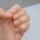 (주)신화비아이에프 | 온천동 네일도트 방문 후기｜가성비·위생·유지력까지 만족한 1인 네일샵