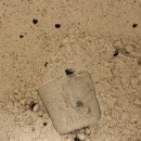 몬스터쿠키 | 맛있는 쿠앤크맛 프로틴 찾는다면? BUP 매스몬스터 쿠키바닐라맛 2kg 리얼 후기