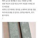 라온솔 네이버블로그