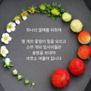 꼼꼼치과의원 네이버블로그