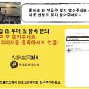 민트스쿠버