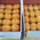 다혜농장 이미지