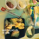 5살베비랑 케베갔다온 후기🥳