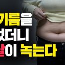 름을 먹었는데 뱃살이 빠진다! 간헐적 단식, 다이어트, 저탄고지 필수품 MCT오일 효능, 부작용, 제품 고르는 법 이미지