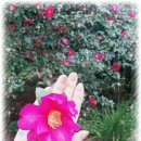 육대장별내점 | 별내 육대장 후기:)