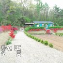 동일농장 이미지