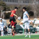 군민체육공원 인조4구장 이미지