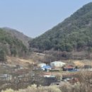 월리사 이구당 부도月裡寺 離垢堂 浮屠 네이버블로그