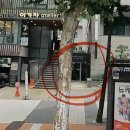 [#12] 모닌스튜디오 일드한남 셀렉 후기 (추가금 0원 성공)