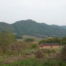 통나무숲속마을 이미지