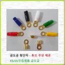 터미널카 이미지