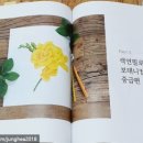 연필스케치(중급) 이미지