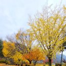 가곡초등학교보발분교장 이미지