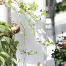 마레파티하우스 이미지