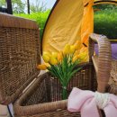 문창초등학교 앞 이미지