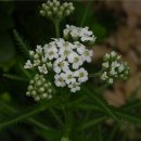 푸른소아청소년과의원 이미지