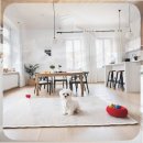 파주켄넬 | 파주 강아지 볼 수 있는곳 실패 없는 선택을 위한 현실적인 체크포인트