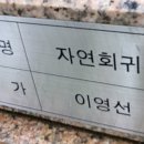 금강여관 이미지