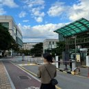 크롭체크코리아 이미지