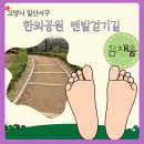 한뫼공원 이미지