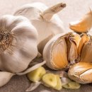 우리건강식품 이미지