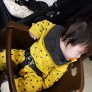 로둥이네 네이버블로그